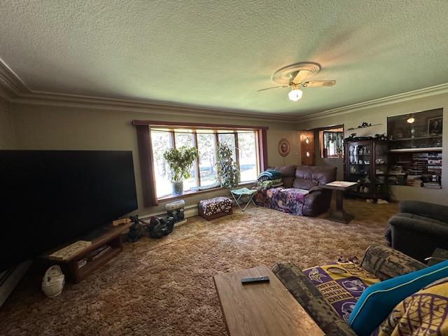 21188 State Highway 65