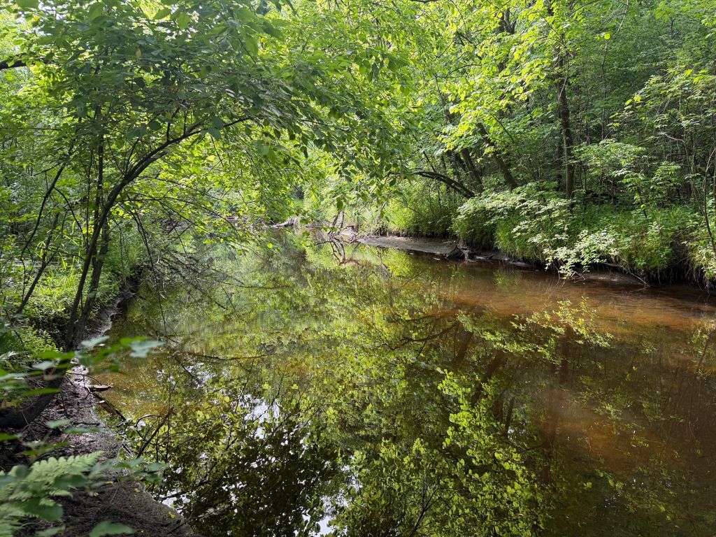 Photo of TBD-5AC Ginger Avenue, Harris, MN 55032 (MLS # 7088616)