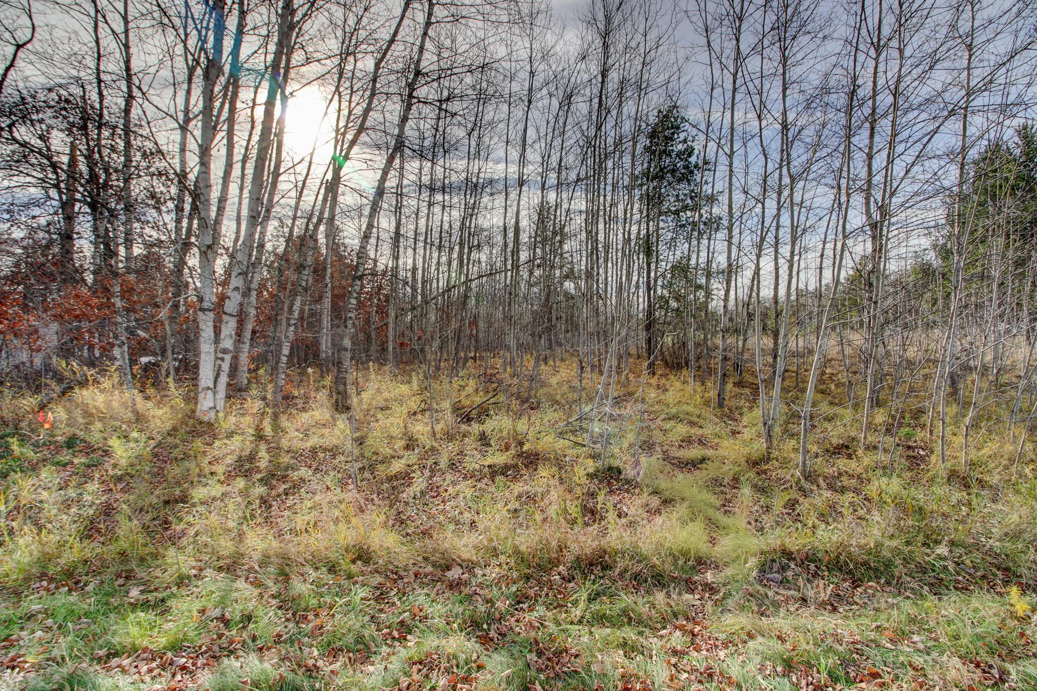 7557 Fallen Leaf Circle