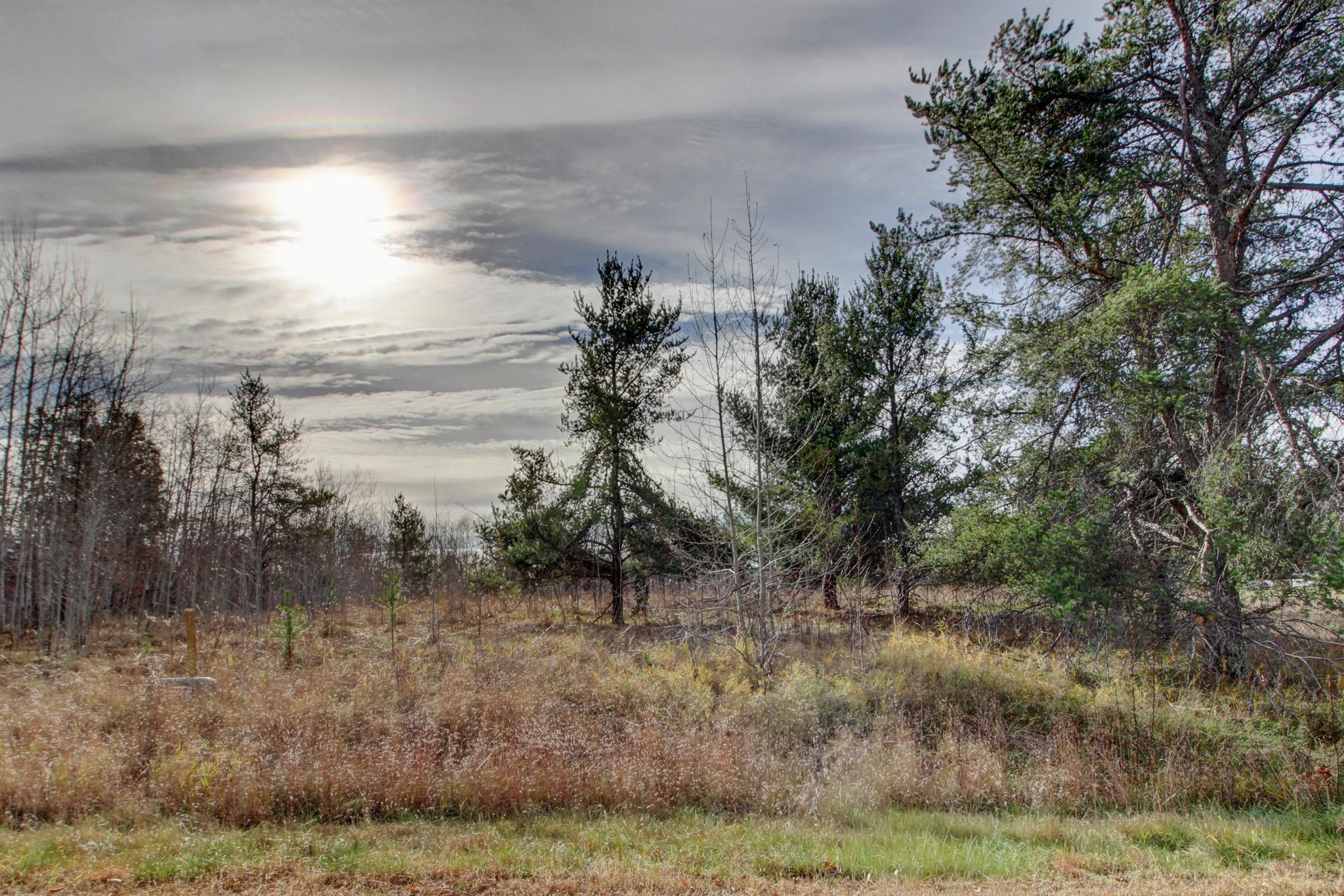 7557 Fallen Leaf Circle