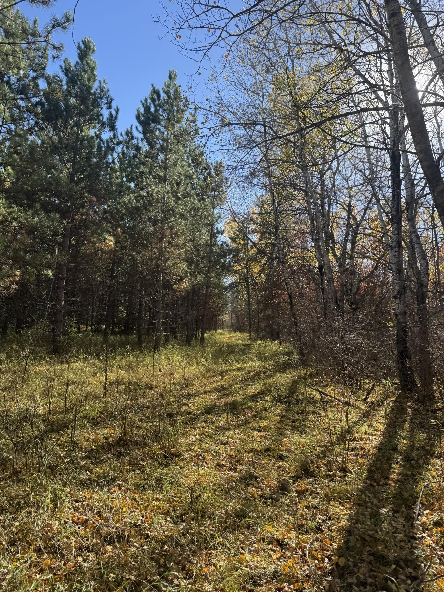 Lot 3 Grant Street