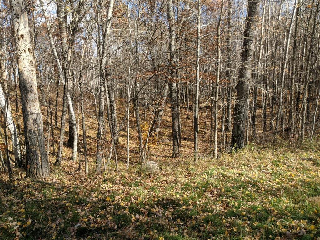 L10 B17 Green Scene Drive