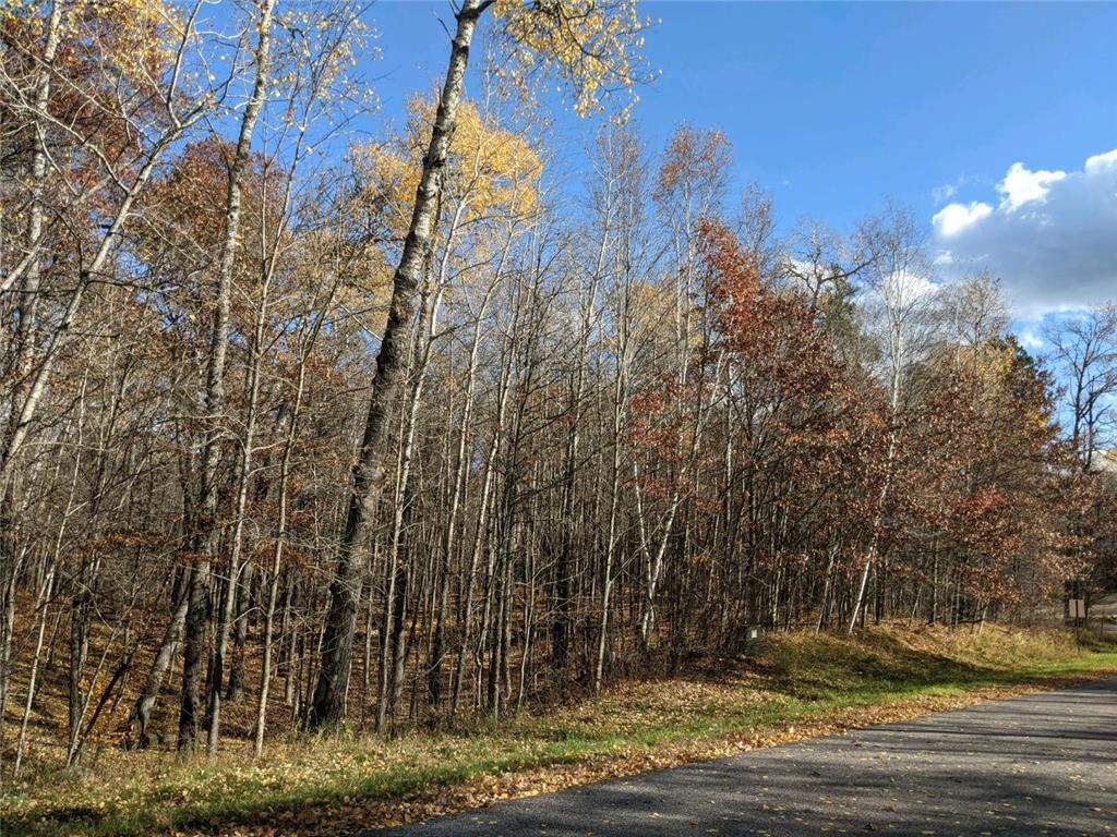 L10 B17 Green Scene Drive