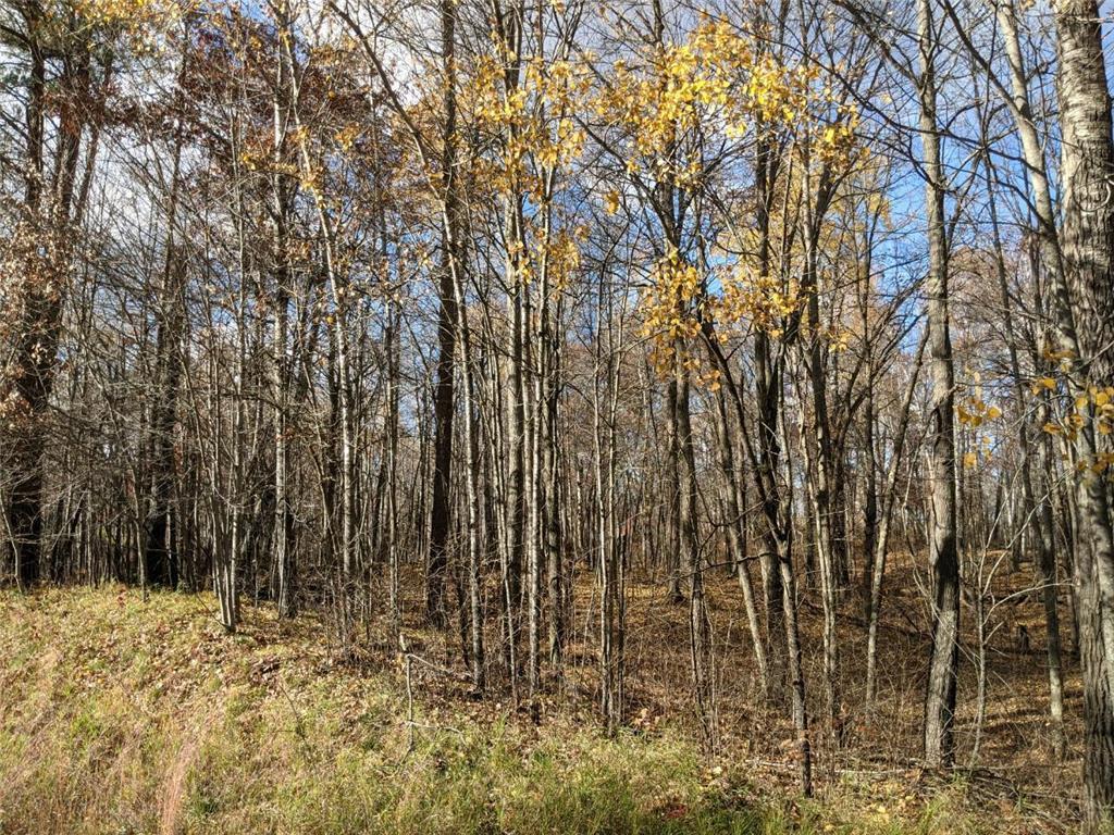 L10 B17 Green Scene Drive