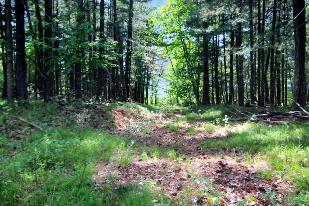Photo of 4294 Nod A Way Drive, Nisswa, MN 56468 (MLS # 7114255)