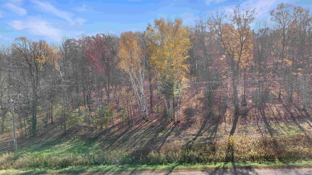 Photo of TBD Hwy 46, Luck, WI 54853 (MLS # 7164316)