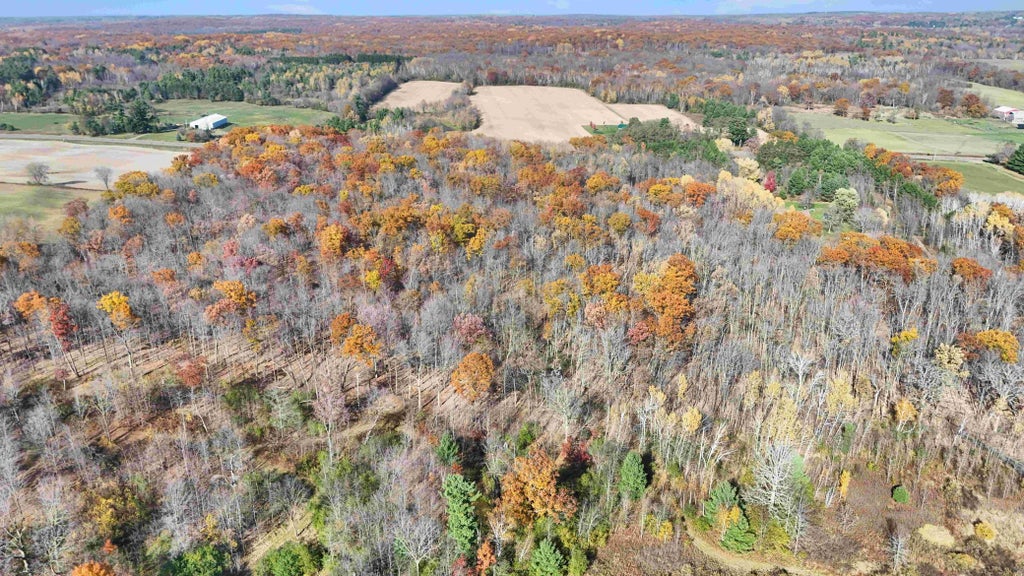 Photo of TBD Hwy 46, Luck, WI 54853 (MLS # 7164316)