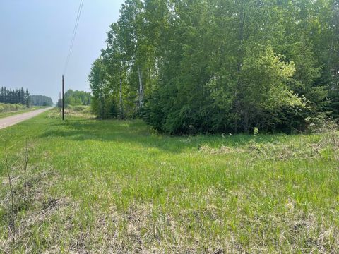 8017 N Savanna Road Cedar Valley Twp MN 55736