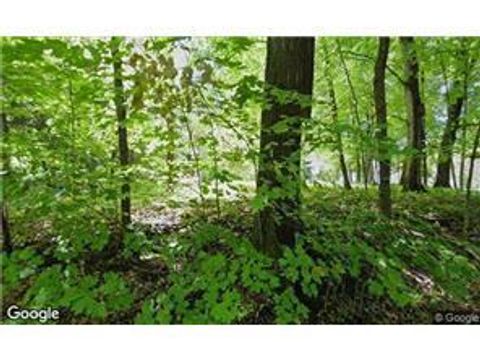 25975 Wild Rose Lane Excelsior MN 55331