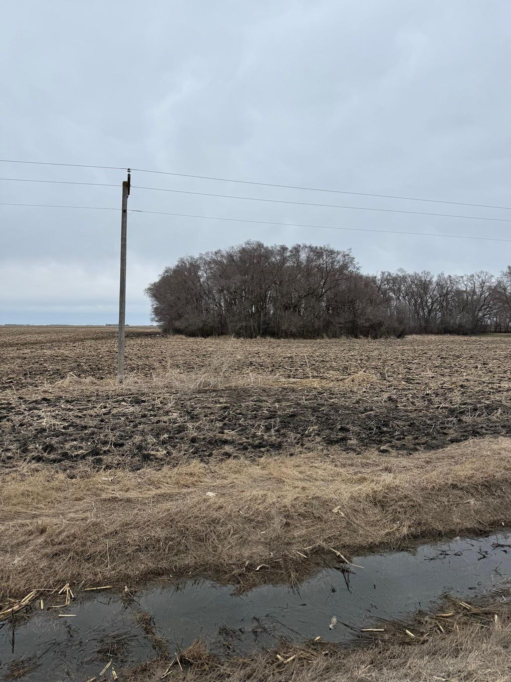 Photo of 2084 440th Street, Campbell, MN 56522 (MLS # 7051939)