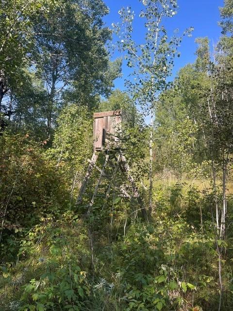 Photo of TBD 380th Street, Menahga, MN 56464 (MLS # 7148993)