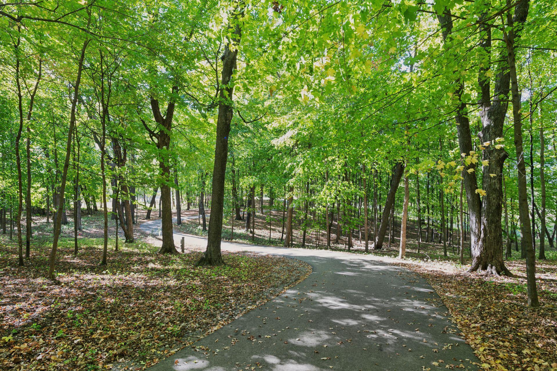 1225 Oakview Road