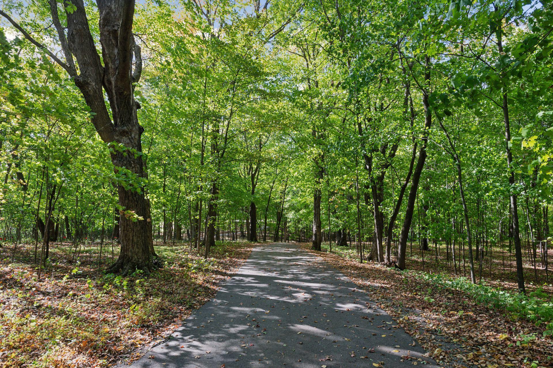 1225 Oakview Road