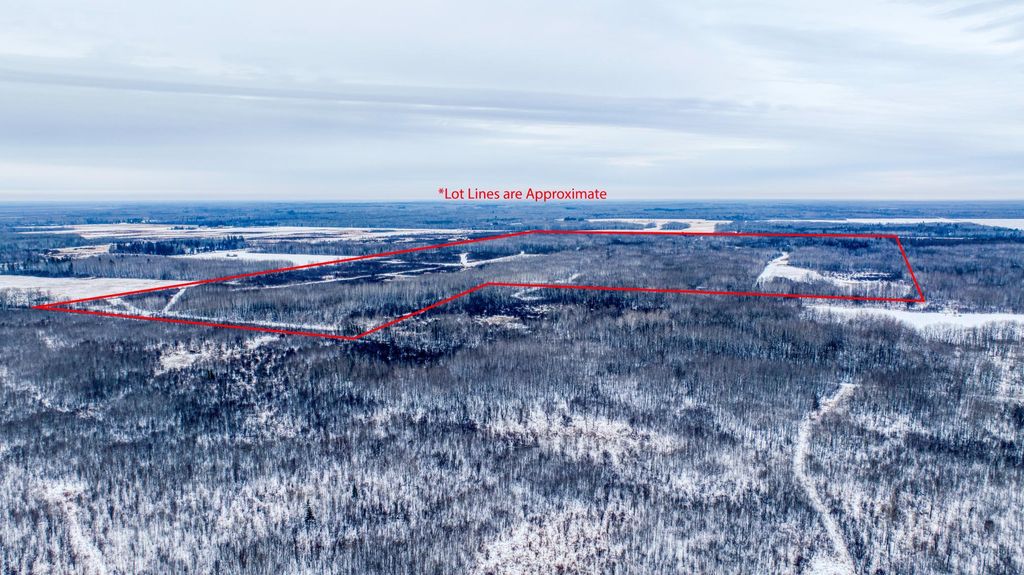 Photo of TBD Fourtown Road NW, Grygla, MN 56727 (MLS # 7003000)