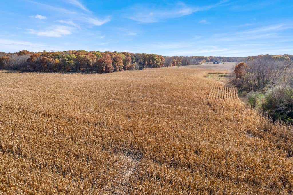 Photo of 71xxx 165th Avenue SE, Becker, MN 55308 (MLS # 7085677)