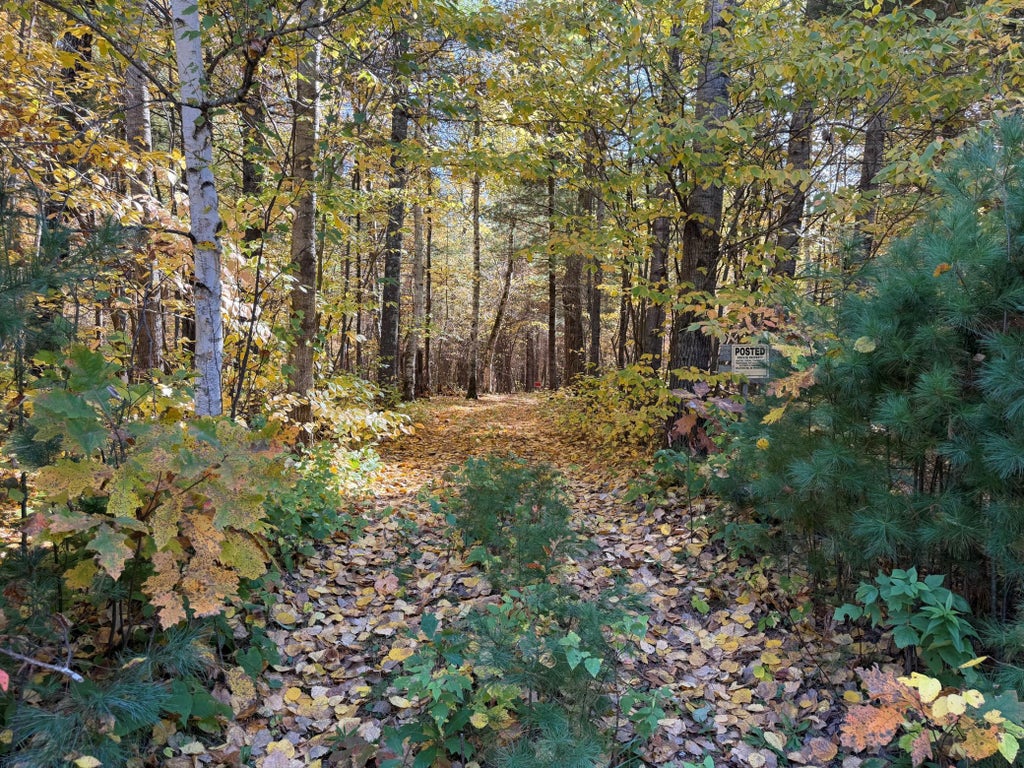 Photo of XXXX County Road 19, Merrifield, MN 56465 (MLS # 7158149)