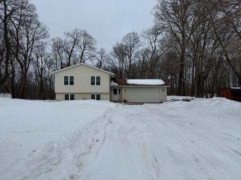 16236 305th Avenue Detroit Lakes MN 56501