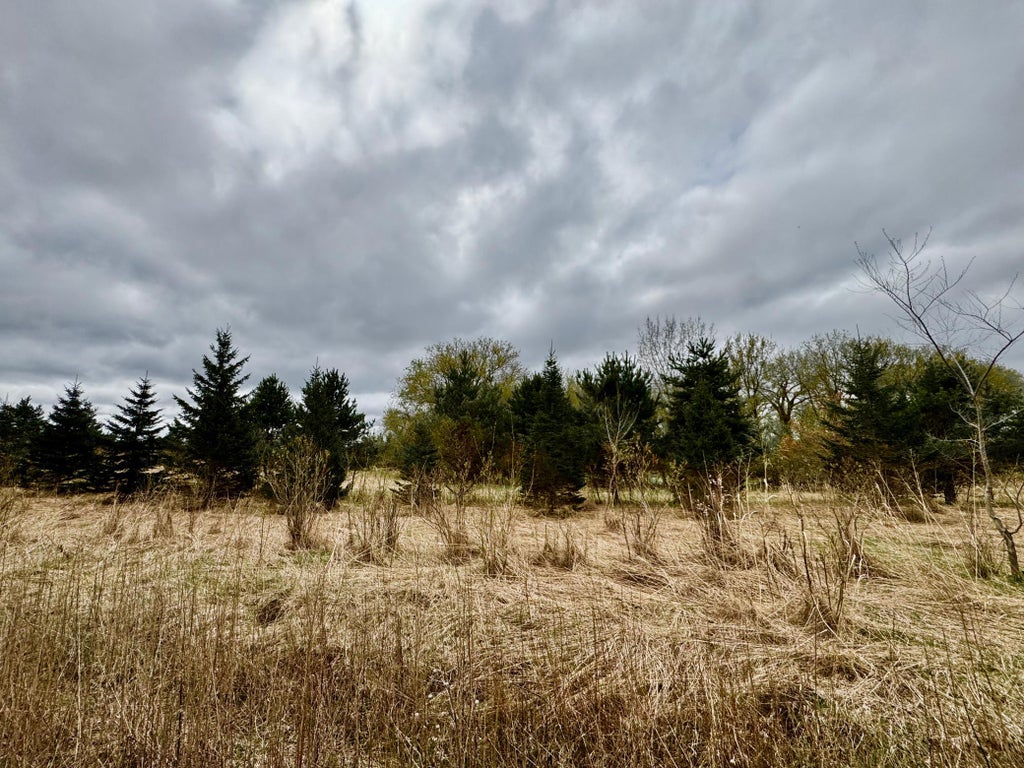 Photo of 10817 Grand Lake Road, Cold Spring, MN 56320 (MLS # 7065026)