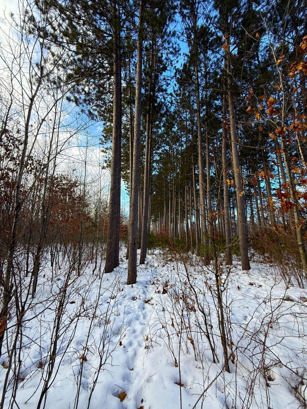 Photo of TBD Sand River Road, Hinckley, MN 55037 (MLS # 7001555)