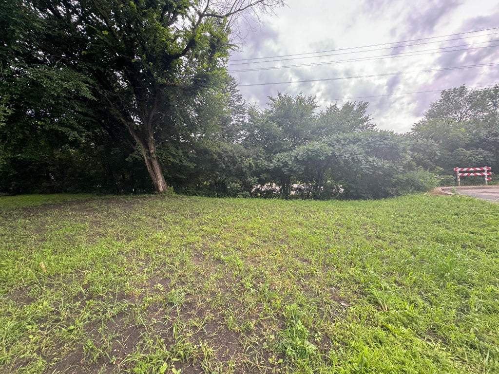 Photo of 409 S Orange Street, Waconia, MN 55387 (MLS # 7139938)