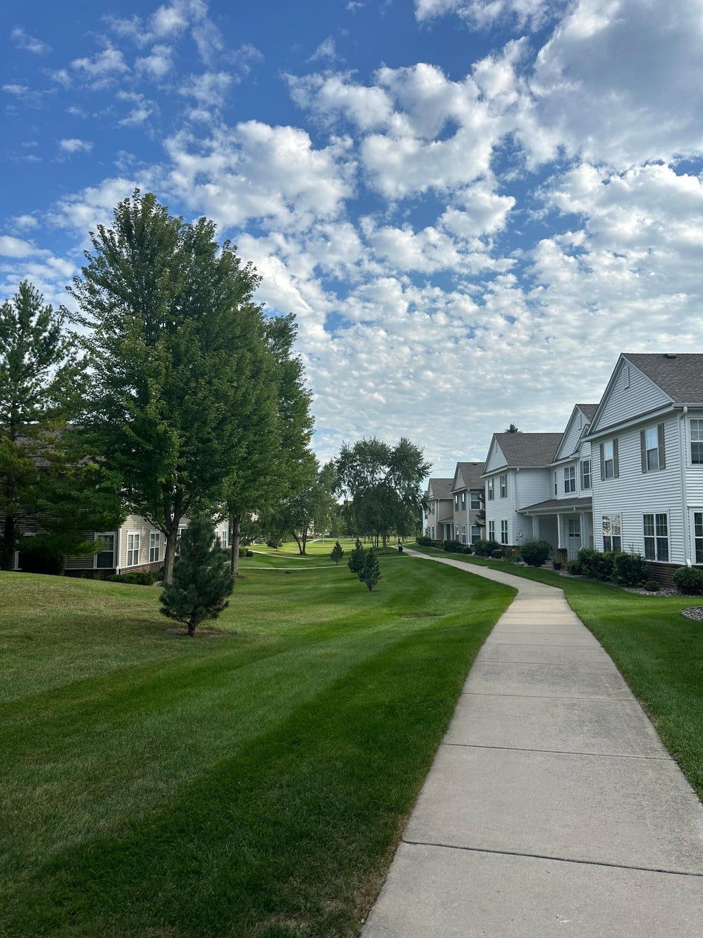 Photo of 4828 Bisset Lane #8505, Inver Grove Heights, MN 55076 (MLS # 7136157)