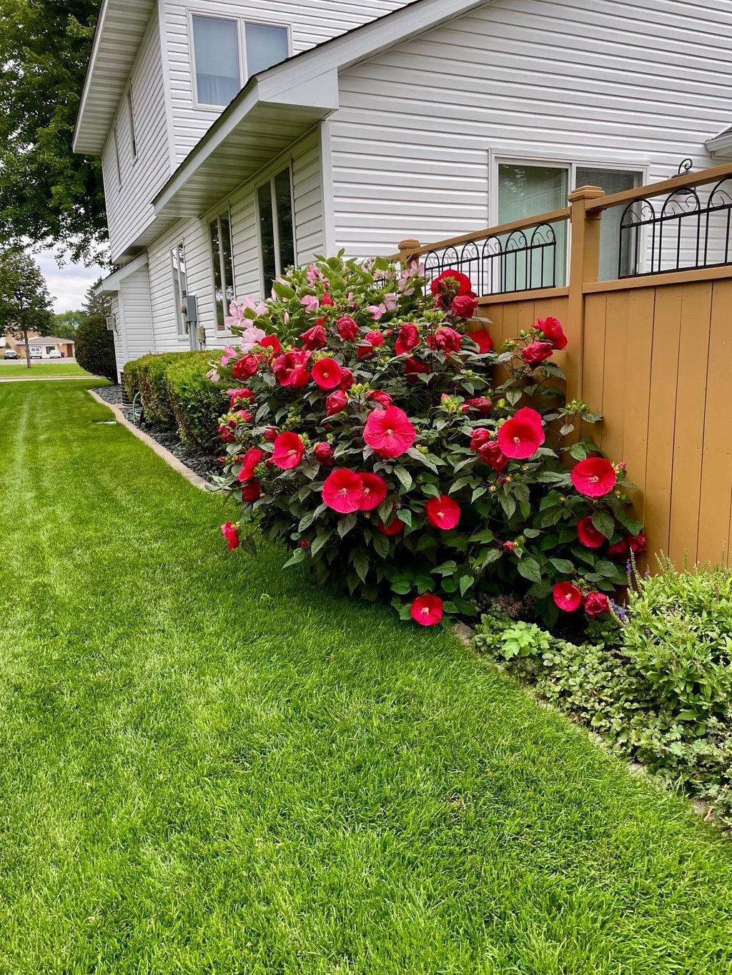 Photo of 900 Laurel Avenue, Saint Paul Park, MN 55071 (MLS # 7055518)