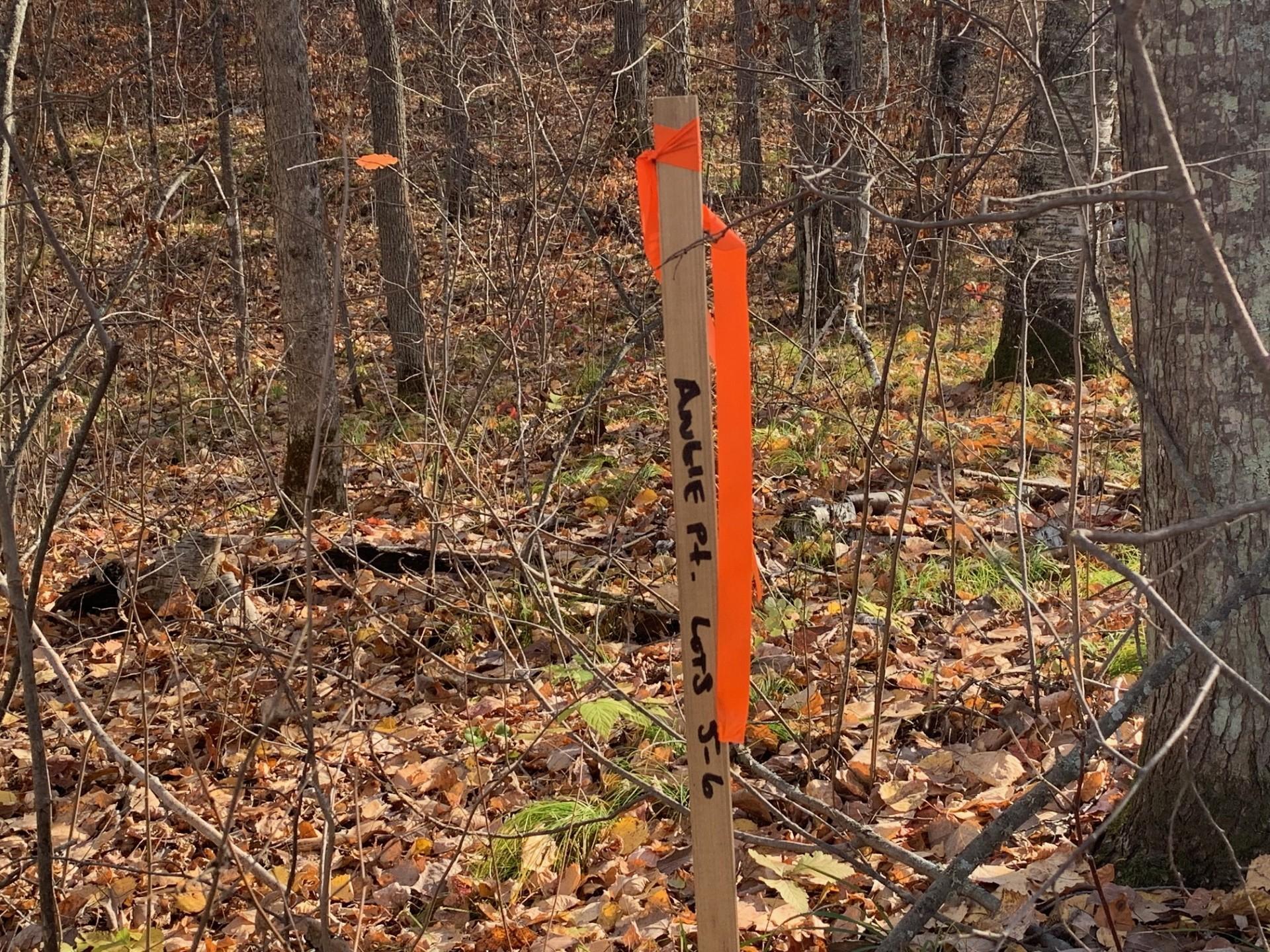 Lot 5 County Road 136