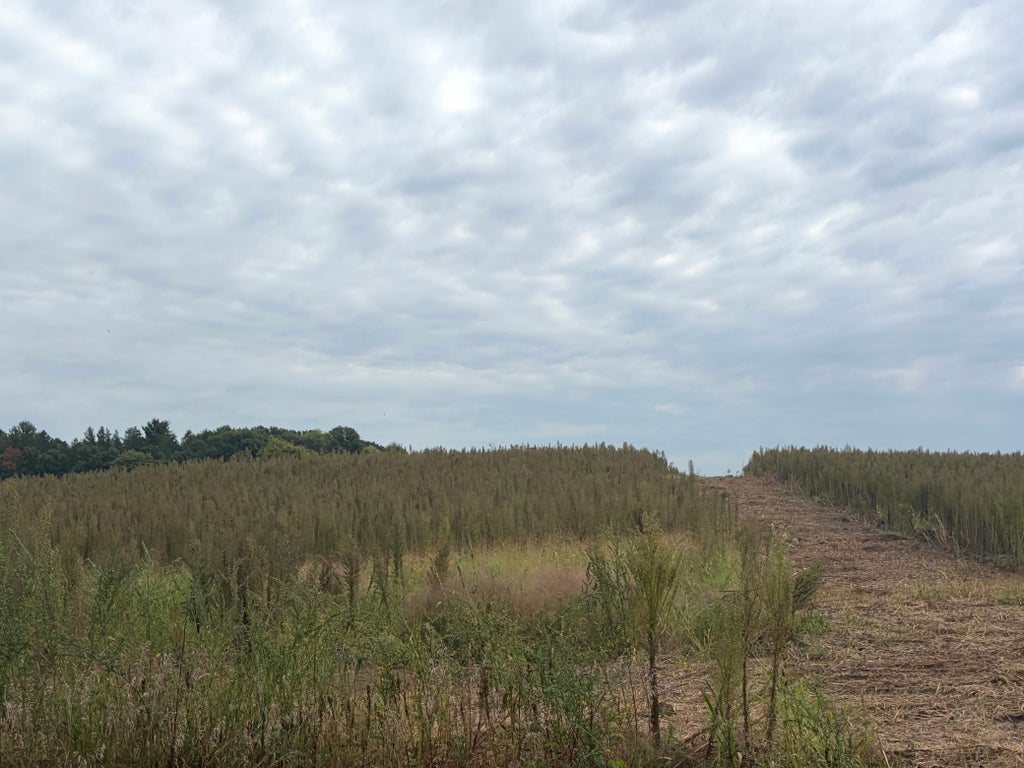 Photo of TBD (L9-SM East) Flamingo Street NW, Isanti, MN 55040 (MLS # 7150381)