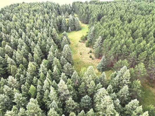 SLEEPY HOLLOW RD, BRAINERD, MN 56401 - Image 1404b5961d2b46efb87bc196cb63d6eb/3721892541
