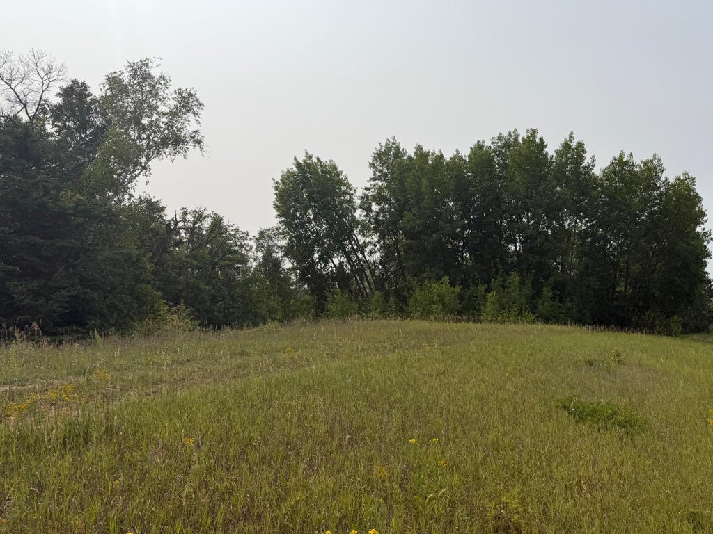 Photo of TBD Del's Ct NE, Bemidji, MN 56601 (MLS # 7126313)