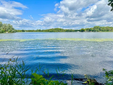 Featured picture for the property 6475223
