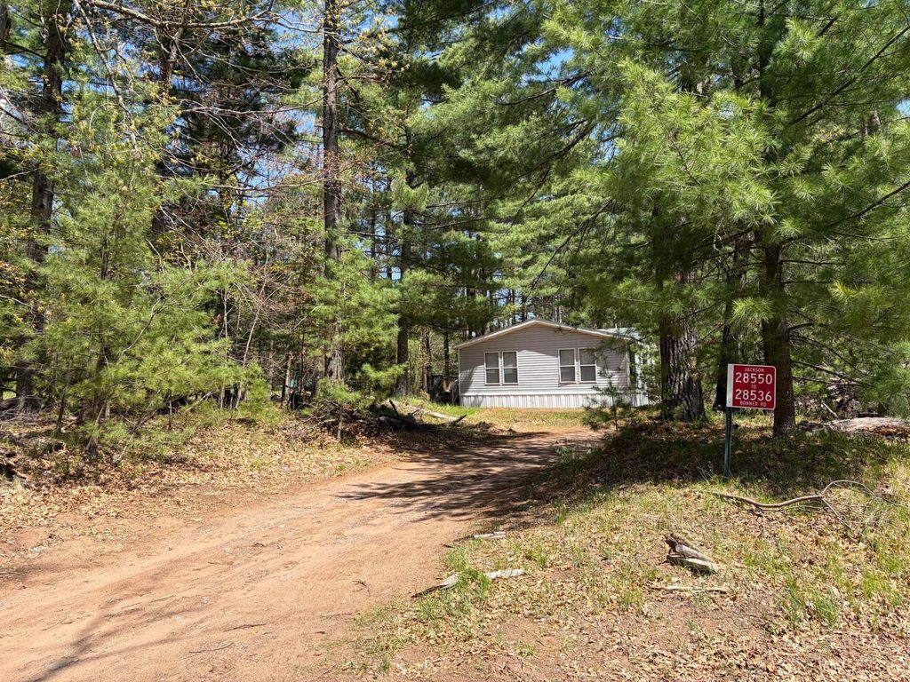 Photo of 28550 Bonner Lake Road, Danbury, WI 54830 (MLS # 7077595)