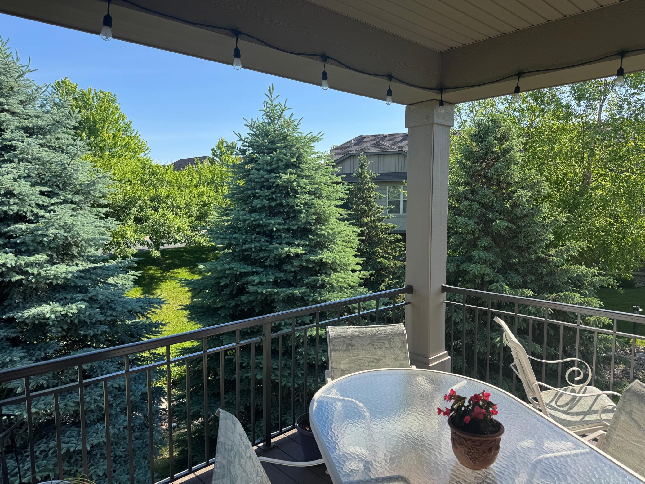 10788 Lyndale Bluffs Trail
