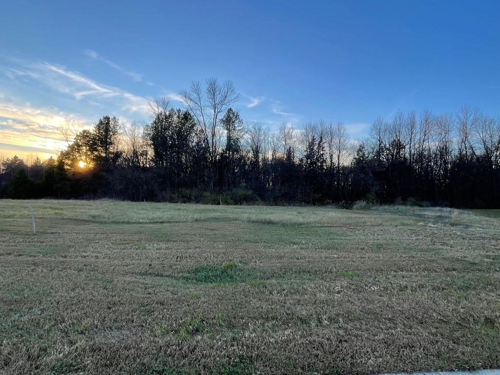 Photo of Lot 4 Block 1 Donway Place NE, Alexandria, MN 56308 (MLS # 7006722)