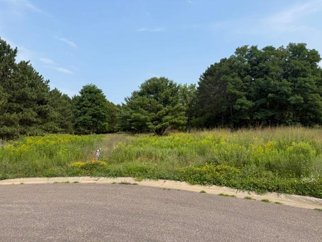 Photo of 14553 Ostlund Court N, Marine On Saint Croix, MN 55047 (MLS # 7125966)