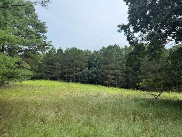 Photo of 14553 Ostlund Court N, Marine On Saint Croix, MN 55047 (MLS # 7125966)