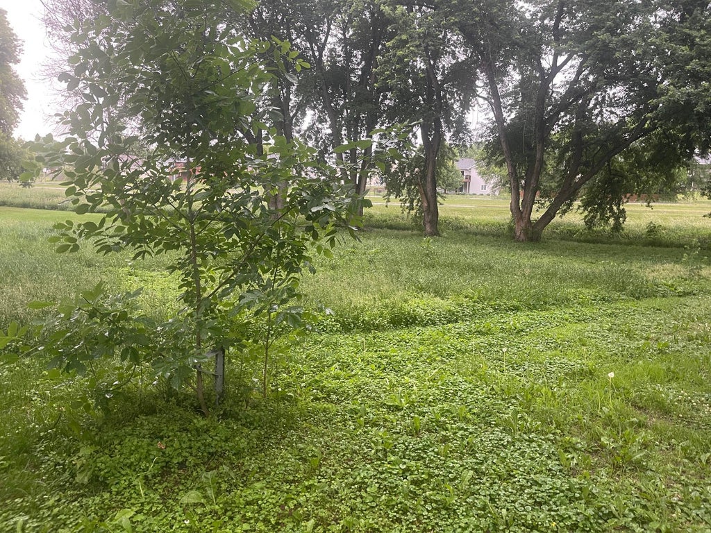 Photo of 817 Colorado Street NW, Lonsdale, MN 55046 (MLS # 7095047)