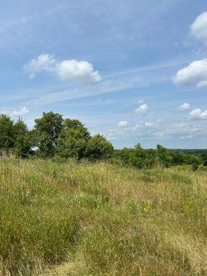 11705 COUNTY HIGHWAY 8, LAKE PARK, MN 56554 - Image 1588558a7a2c8fae9eae5db8a0a65c52/950927505