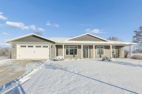 Photo of 951 Cedar Avenue E, Hector, MN 55342 (MLS # 6822311)