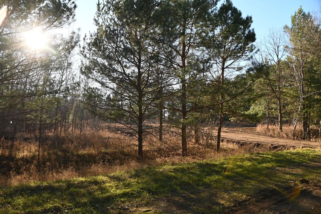 Photo of xxx Pequot Court, Browerville, MN 56438 (MLS # 7019658)