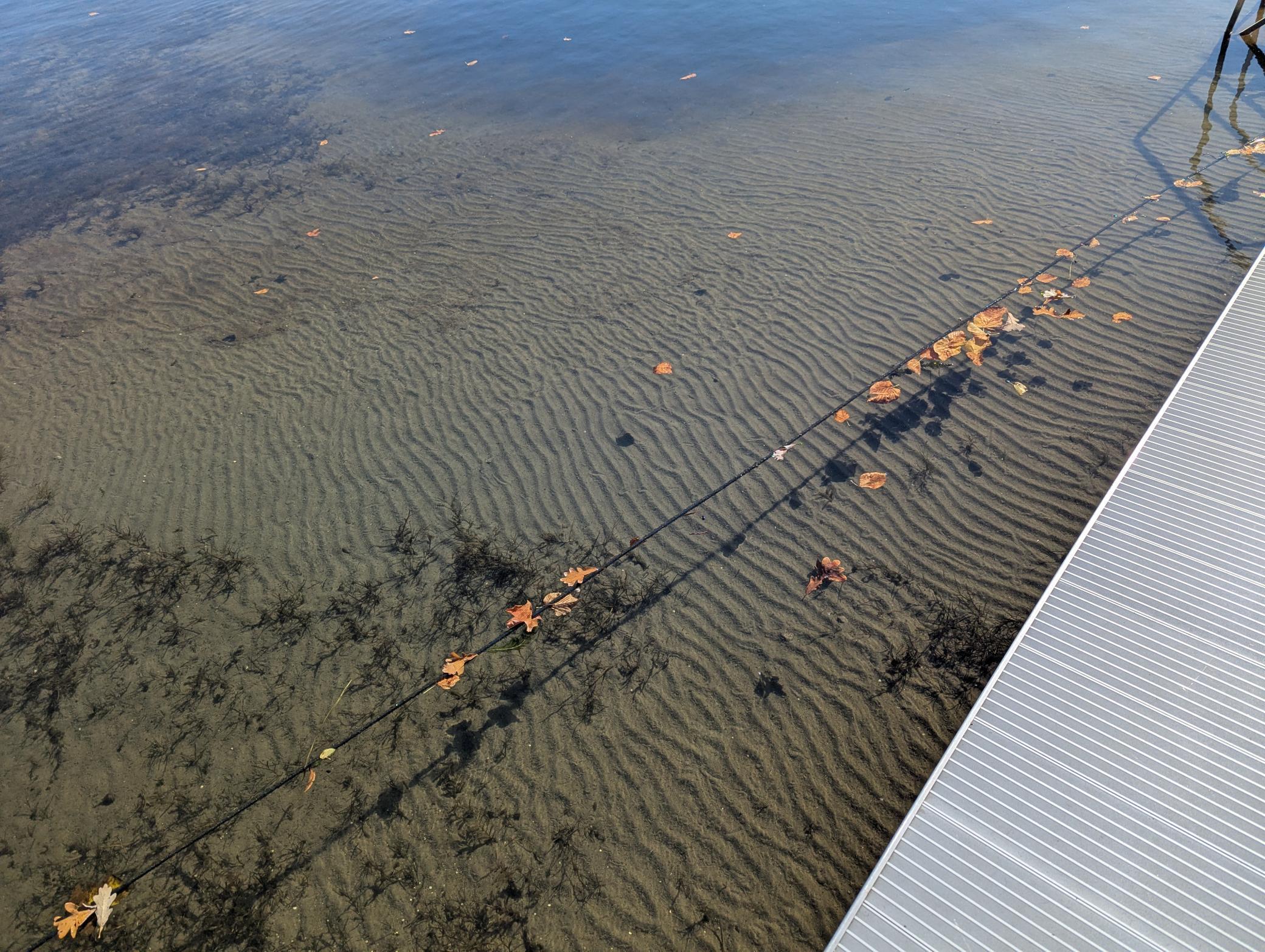 15995 County Road 109