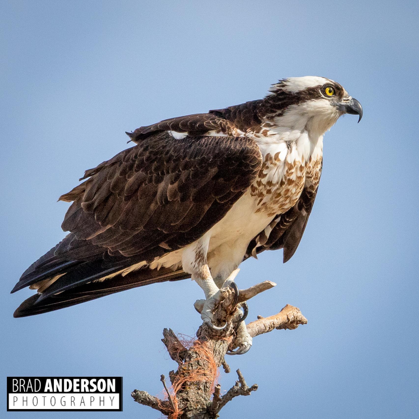 315XX Leaf River Road Tract C