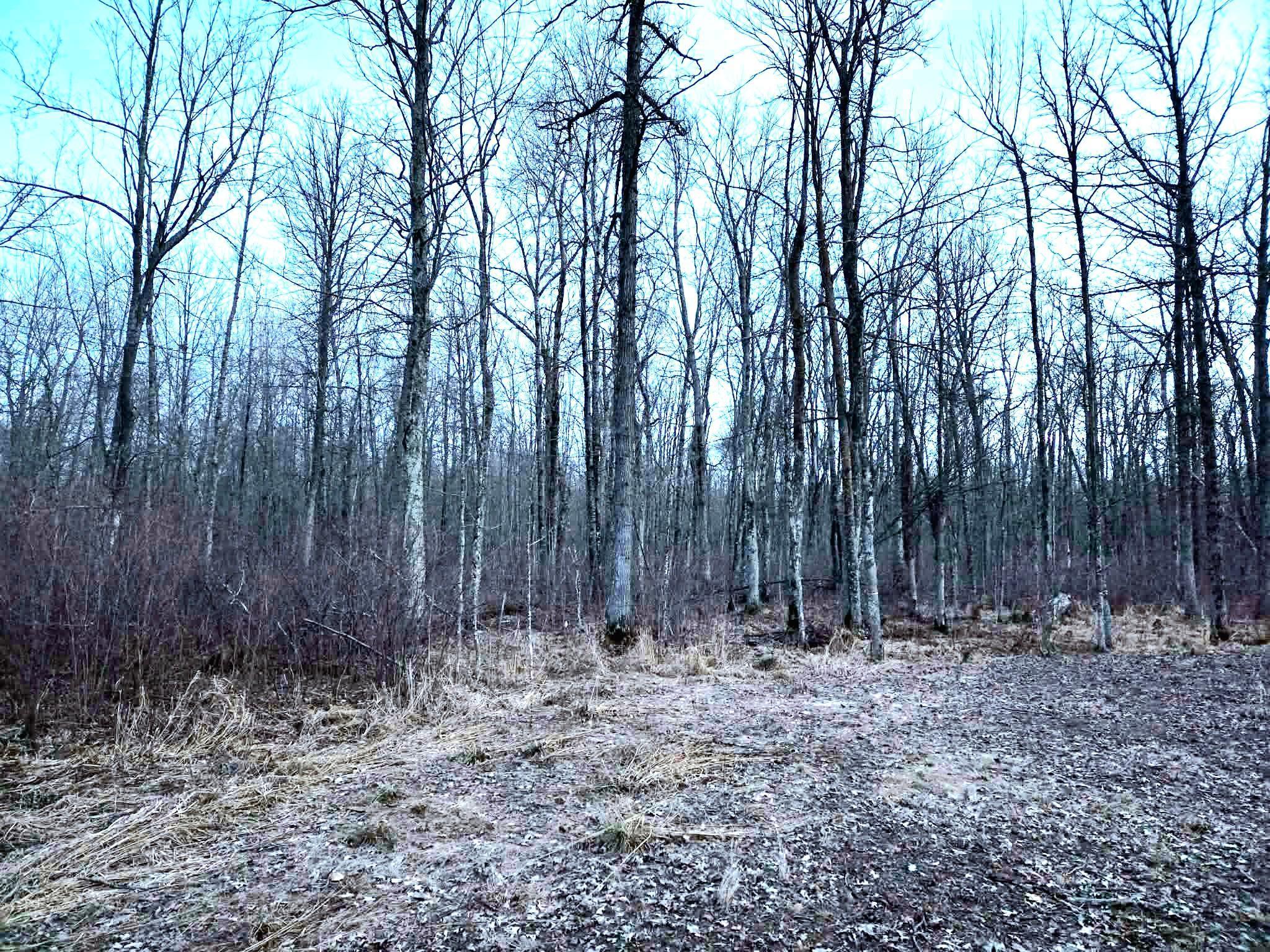 194X Old Creamery Road