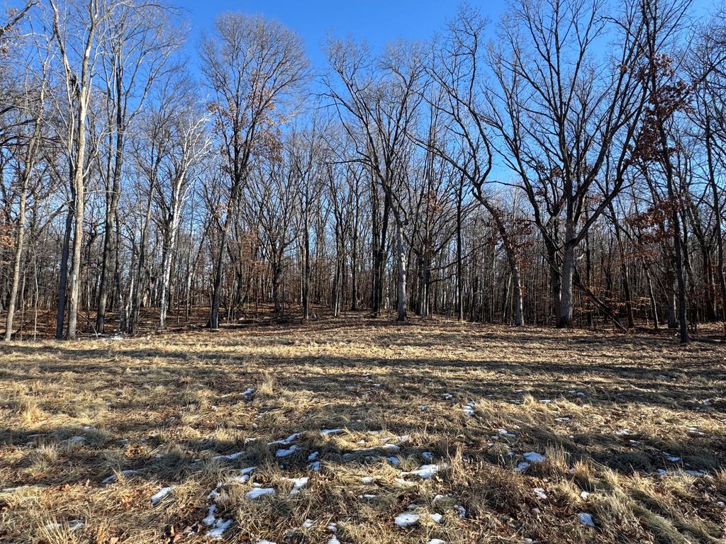 Photo of 14775 Stutz Street NE, Ham Lake, MN 55304 (MLS # 6825570)