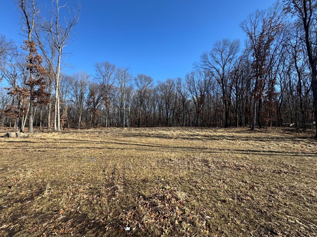 Photo of 14775 Stutz Street NE, Ham Lake, MN 55304 (MLS # 6825570)