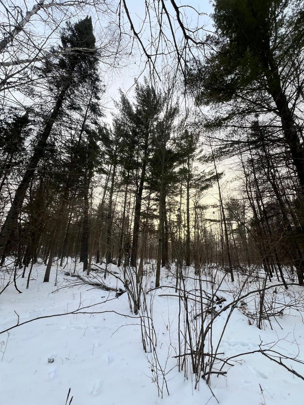 Photo of TBD County Rd 67, Grand Rapids, MN 55744 (MLS # 7001727)