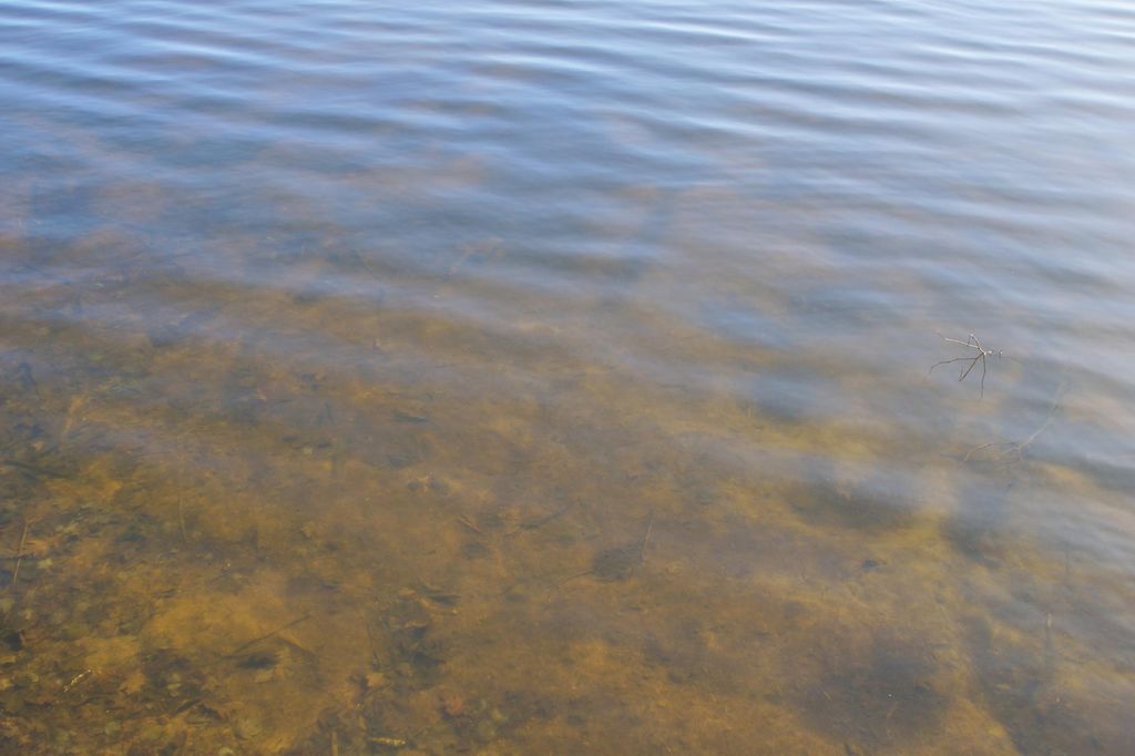 Photo of 0 Ranch Road, Stone Lake, WI 54876 (MLS # 7061916)