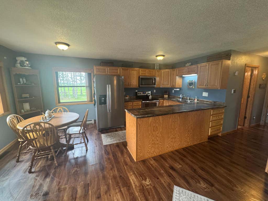 Photo of 42357 439th Avenue, Perham, MN 56573 (MLS # 7088769)