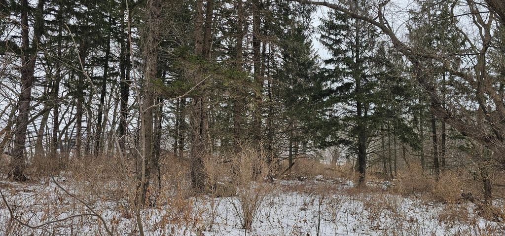 Photo of 15737 403rd Avenue, Canton, MN 55922 (MLS # 7004099)