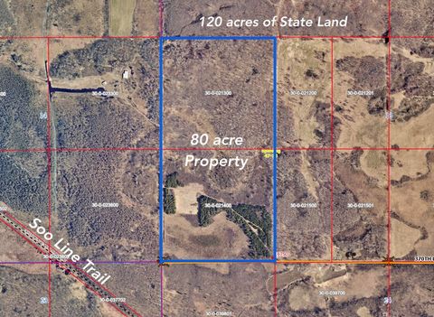 TBD 370th Lane McGregor MN 55760